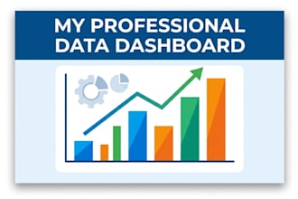 create professional data dashboards in looker studio