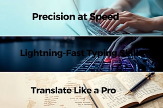 do data entry and translate to french or arabic