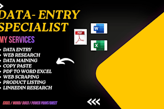 provide flawiess data entry, web research and excel to PDF