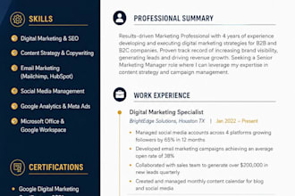 write a professional CV, resume and cover letter