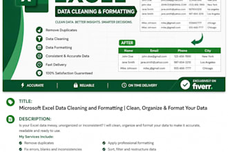 clean, format, organize and fix microsoft excel spreadsheets