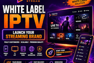 set up your iptv business with app panel, dns and full technical support