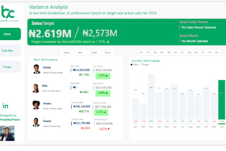 create professional power bi dashboard and reports