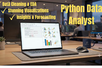 do professional python data analysis