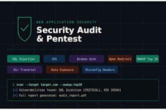 perform web application security audit and owasp assessment