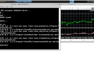 set up mt5 on linux ubuntu on vps