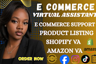 provide reliable ecommerce virtual assistant services