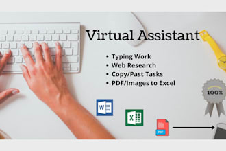 provide ecommerce management and data entry services