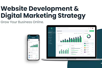digital marketing strategy and website development