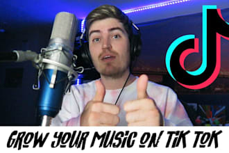 promote your music to my over 3,400,000 followers on tiktok