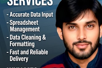 professional data entry and google sheets services