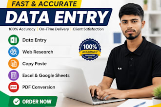 be your professional  data entry 4 hours