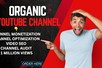 shoutout youtube channel video promotion to over 1 million for views audit subs