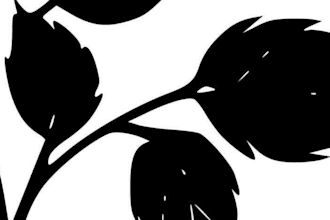 create name and script tattoo design