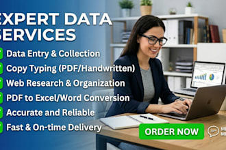 do accurate data entry and copytyping ,web research and PDF to excel conversion
