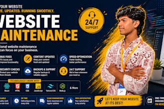 provide professional website maintenance and support