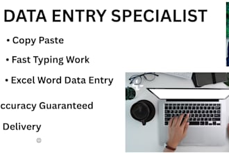 do profitional data entry copy past tayping work