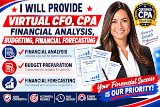 provide virtual cfo, CPA financial analysis, budgeting, financial forecasting