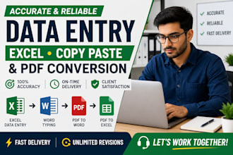 do accurate data entry, microsoft excel and PDF conversion
