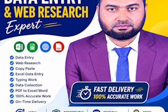 do professional excel data entry and web research