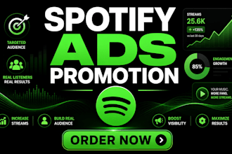 run targeted effective ads for spotify music promotion