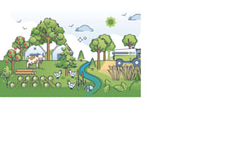 negocios ambiente agro producción