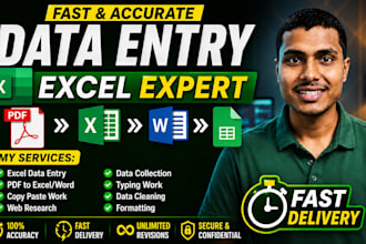 do excel data entry, PDF to excel, copy paste and web research