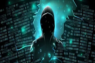 analysis crypto fundback, forensic analysis, crypto fraud detection,recovery