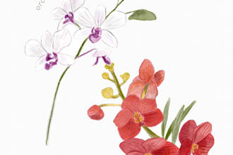 custom illustrate a flower, plant, or tree