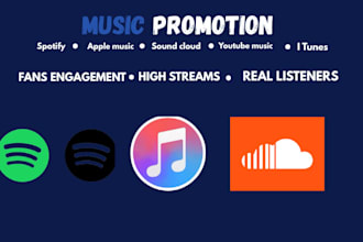 do music promotion to increase streams and fan engagement