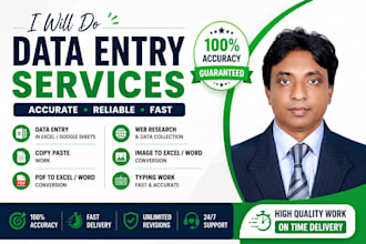 do accurate data entry excel data entry copy paste and web research