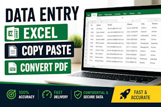 do data entry, excel, copy paste and web research