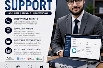 provide external audit support and prepare audit working papers