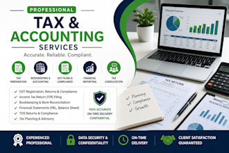 provide professional tax and accounting services