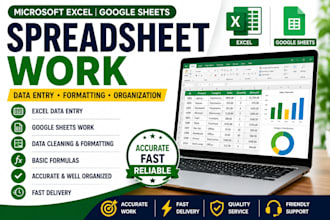 do excel data entry and spreadsheet formatting