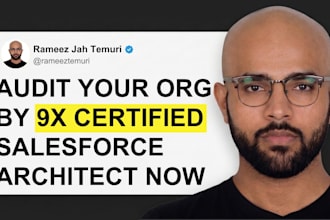 be your salesforce developer and audit your org