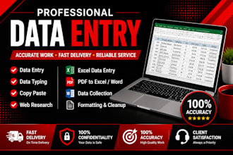 do accurate data entry, copy typing, microsoft excel, and web research