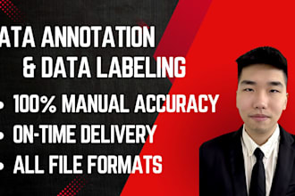 do data annotation and labeling