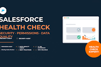 perform a salesforce org health check and security audit