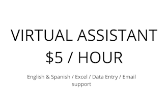 professional virtual assistant for admin tasks and excel