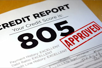 do experian inquiry removal, charge off, late payment, boost score, collection