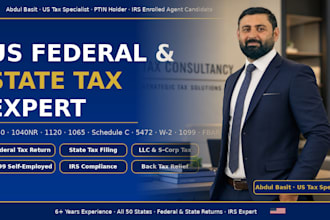 prepare and file your US federal and state tax return professionally