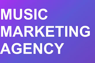 create a music promotion strategy for artists and musicians