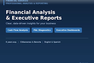 deliver a professional financial analysis report for your business
