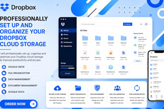 professionally set up and organize your dropbox cloud storage