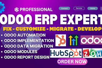 fix odoo bug odoo customization oddo website and oddo erp issues