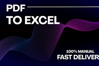 convert PDF to excel with 100 accurate data entry