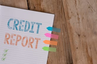 do credit record, late payment, collection, inquiry removal public records