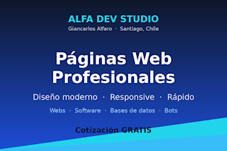 design and develop a professional responsive website