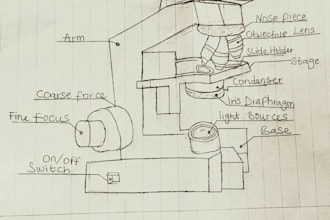create a accurate biological and botanical diagrams